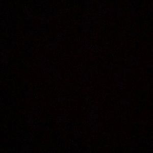 Meet your Posher, Ernesto